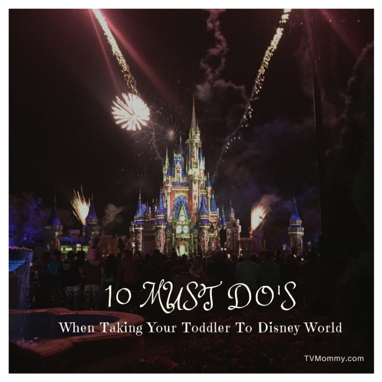Disney World Toddler Musts